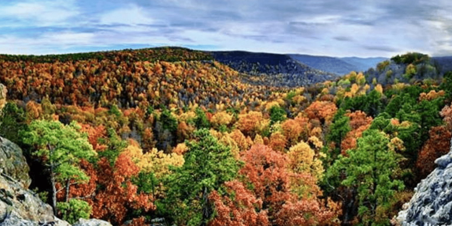 Choose Your View of Fall in Northwest Arkansas